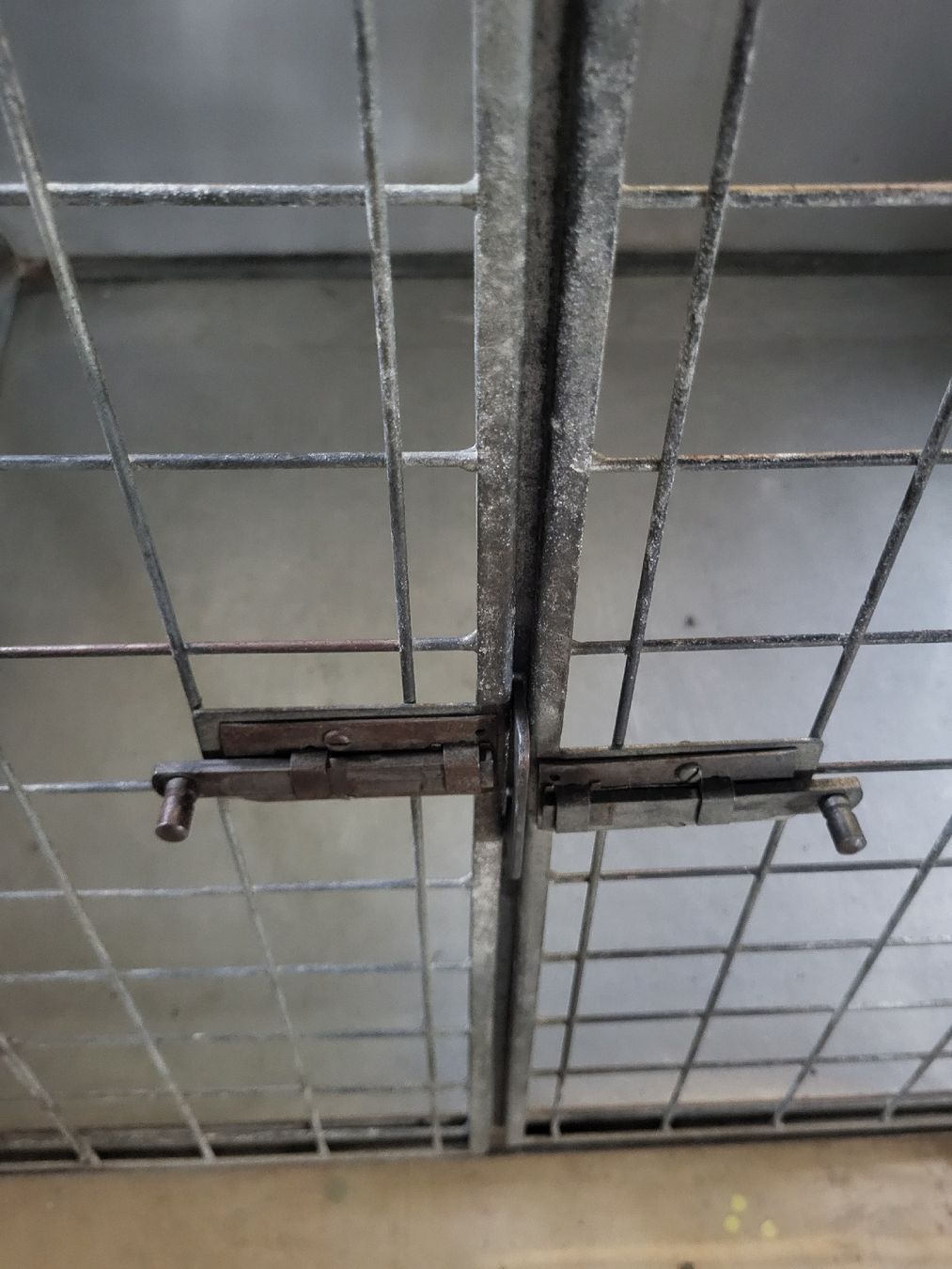 Cages, transport & sécurité: Hundebox  – D'occasion à Brunnen par Burger_king 1