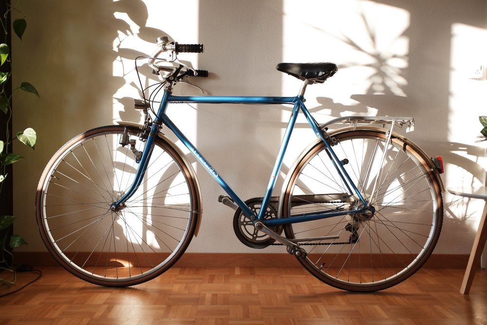 Vintage 2024 city bicycle