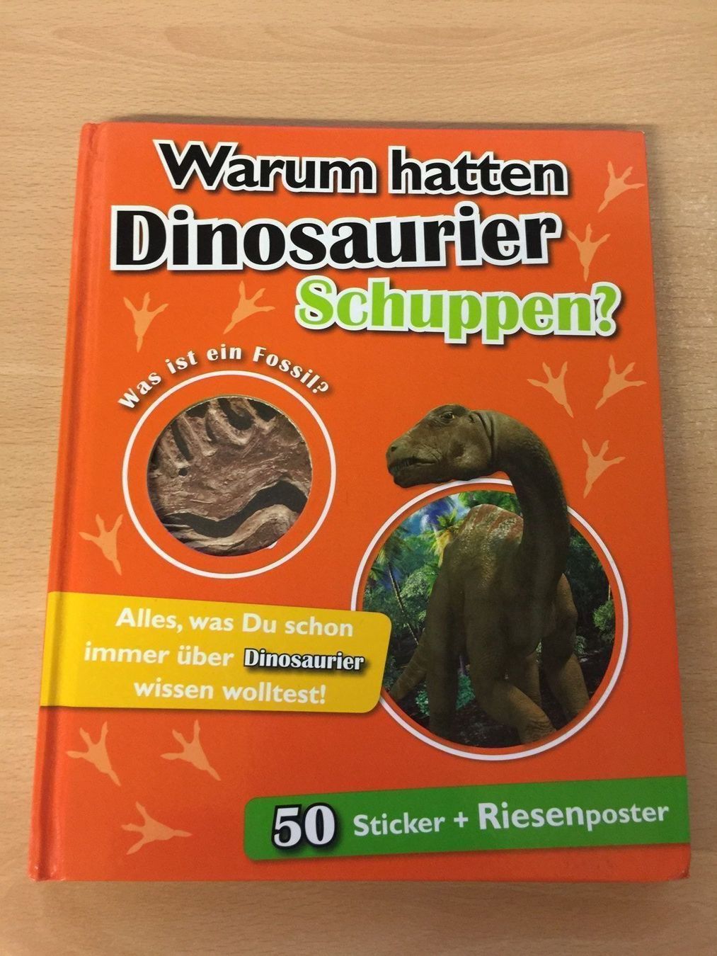 Libri: Warum hatten Dinosaurier Schuppen? – Usato da Glattfelden venduto da cybermaxx