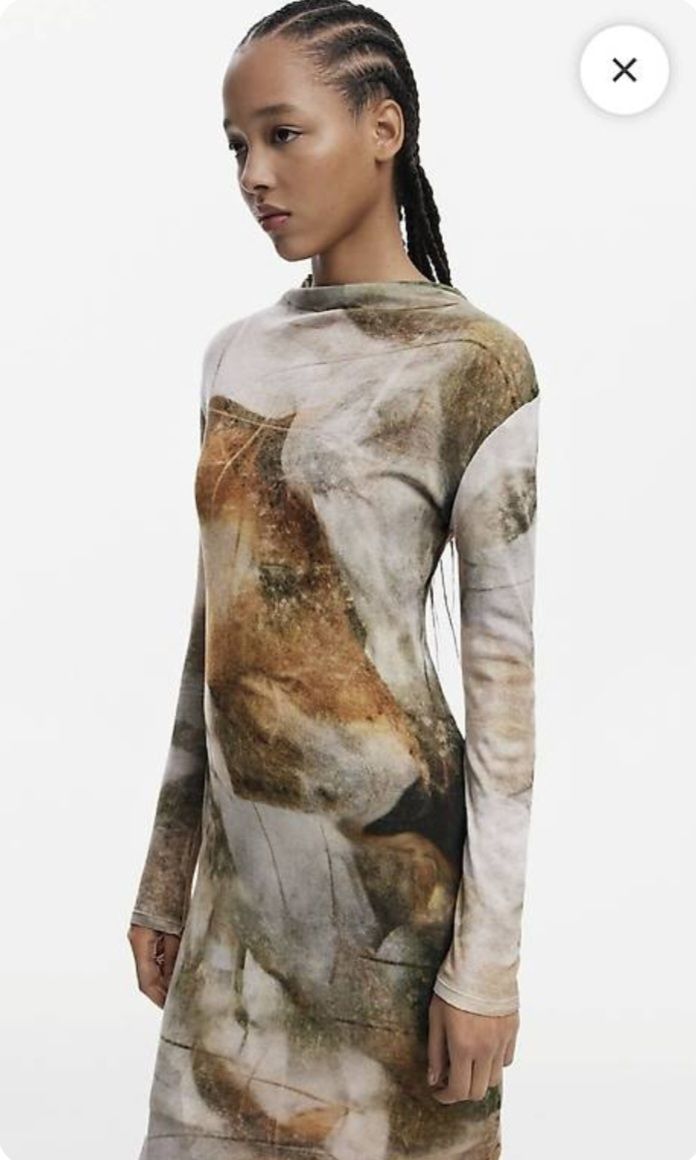 Desigual Vestiti: Neues Kleid von Desigual Gr. L – Nuovo (secondo la descrizione) da Thalwil venduto da Nikkita2 1