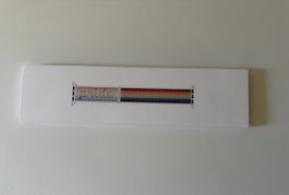     Apple Watch Band Pride 