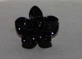 2 Haarklammer schwarz (9)