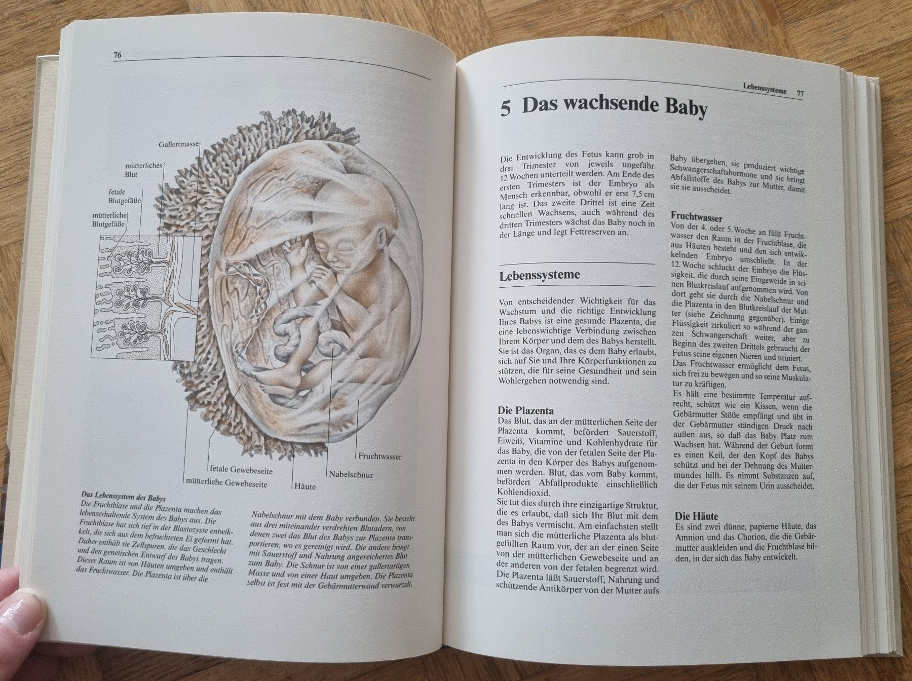 Libri: Ravensburger Schwangerschaft: Das grosse Ratgeber Buch – Usato da Urtenen-Schönbühl venduto da Kahru 5