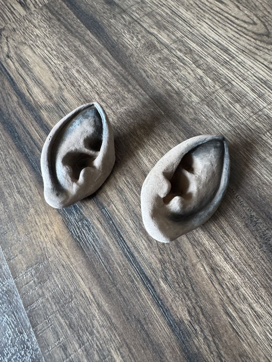 Kostüme: Feenohren 🧚🏼 Kostüm Accessoire – Gebraucht aus Buchs ZH von crazyhandbaggirl123 1
