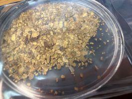 Schweizer Gold Goldflitter 6 g Flussgold aus Uzwil / Gossau