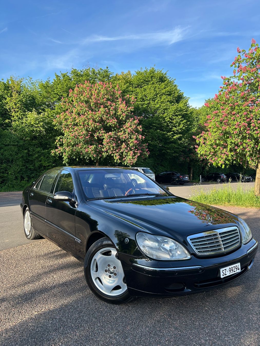 Mercedes-Benz Automobili: Mercedes S600 W220 – Usato da Lachen SZ venduto da nk.sv