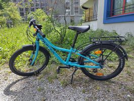 Naloo Cameleon 20 Zoll Kindervelo