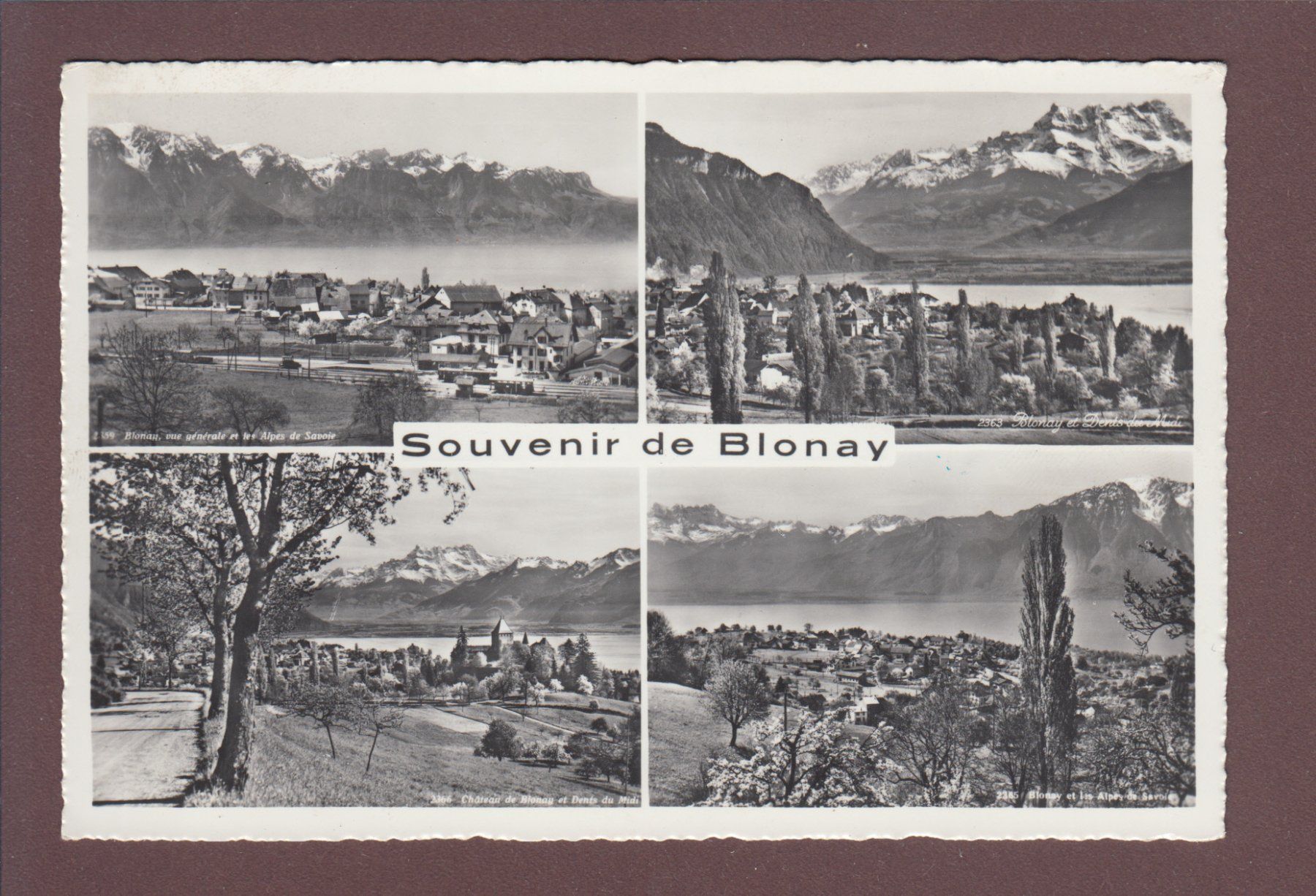 Cartoline postali: Souvenir de BLONAY - 4 images – Usato da Pully venduto da nicecards