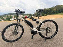 E-Bike Wheeler Rider Weiss