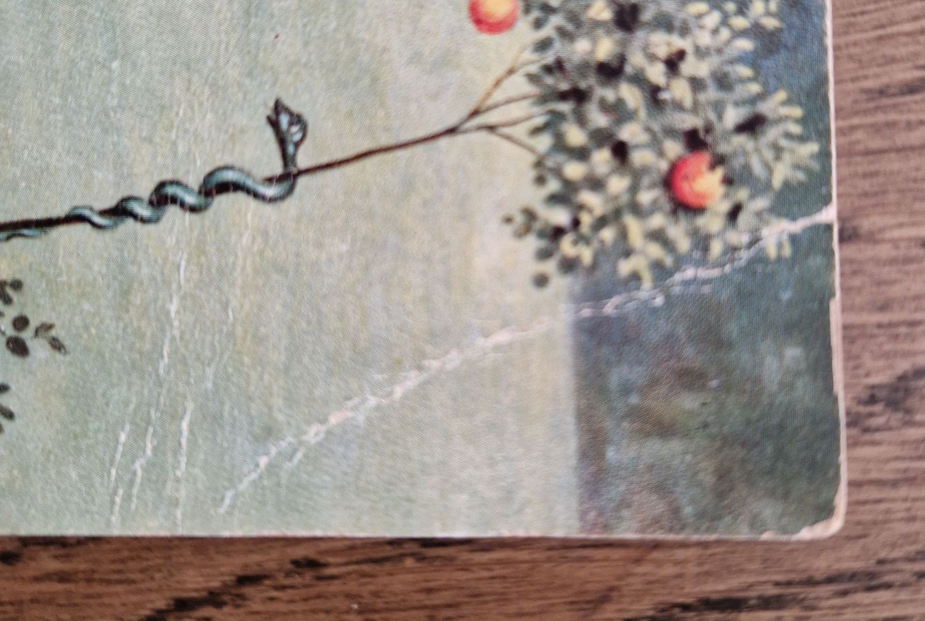 Cartoline postali: Humorkarte "Soll ich?"  1930 – Usato da Ebikon venduto da Donar50 2