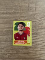 Panini Fifa WM 2026, POR 14