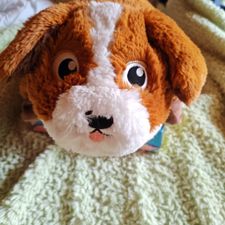 Profile image of sam_qc95