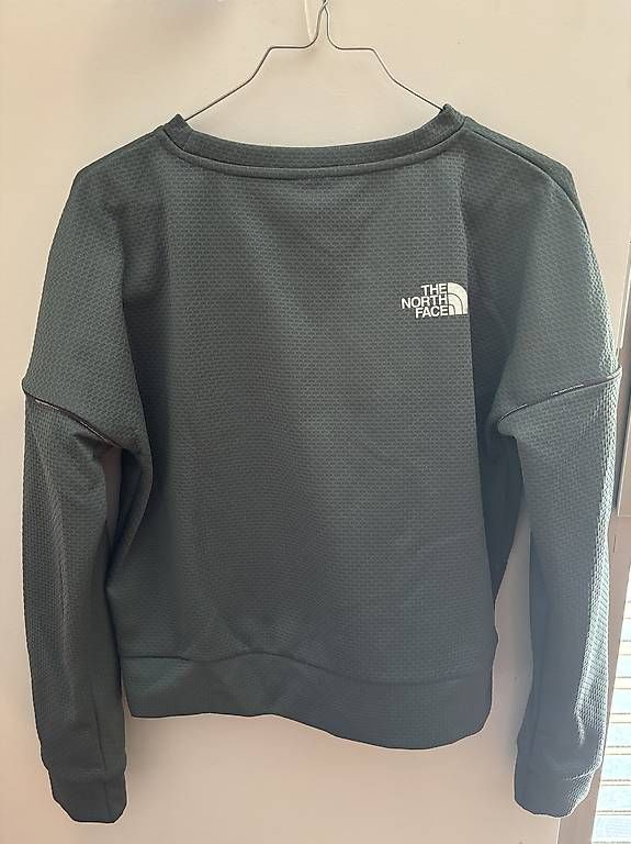 North Face Maglioni & Felpe: Felta The North Face – Usato da Davesco-Soragno venduto da agn_jk7n 1