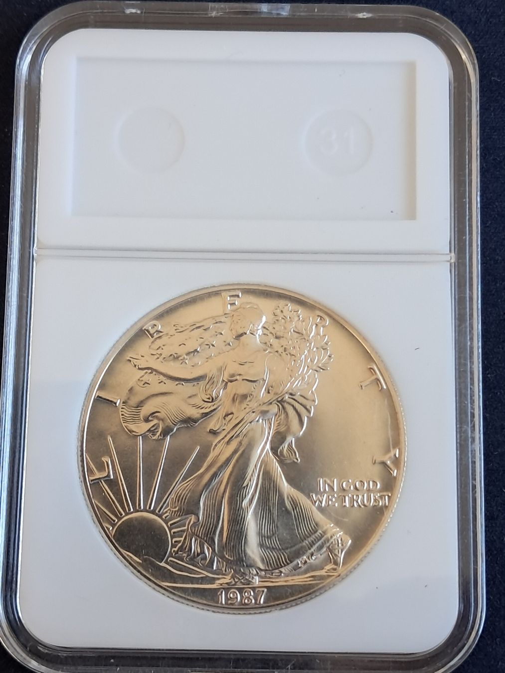 Toutes les monnaies: Silbermuenze American Eagle 1 Dollar 1987  – D'occasion à Diegten par mar_2w8m