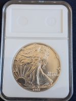Silbermuenze American Eagle 1 Dollar 1987 