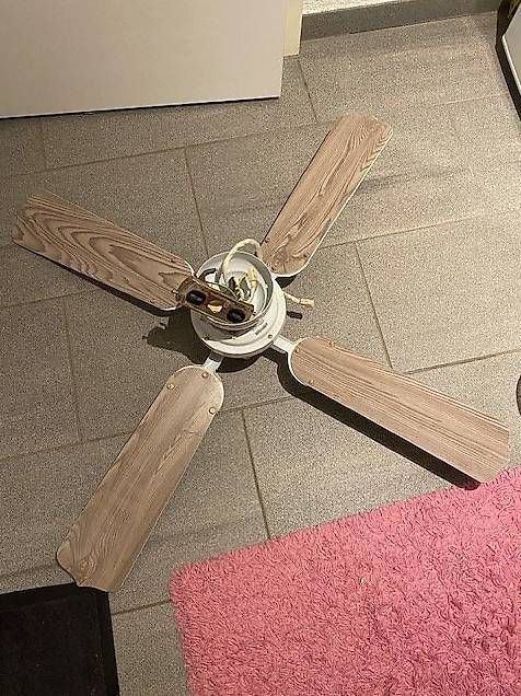 Ventilatori: Deckenventilator Westinghouse – Usato da Oftringen venduto da Sialur 2