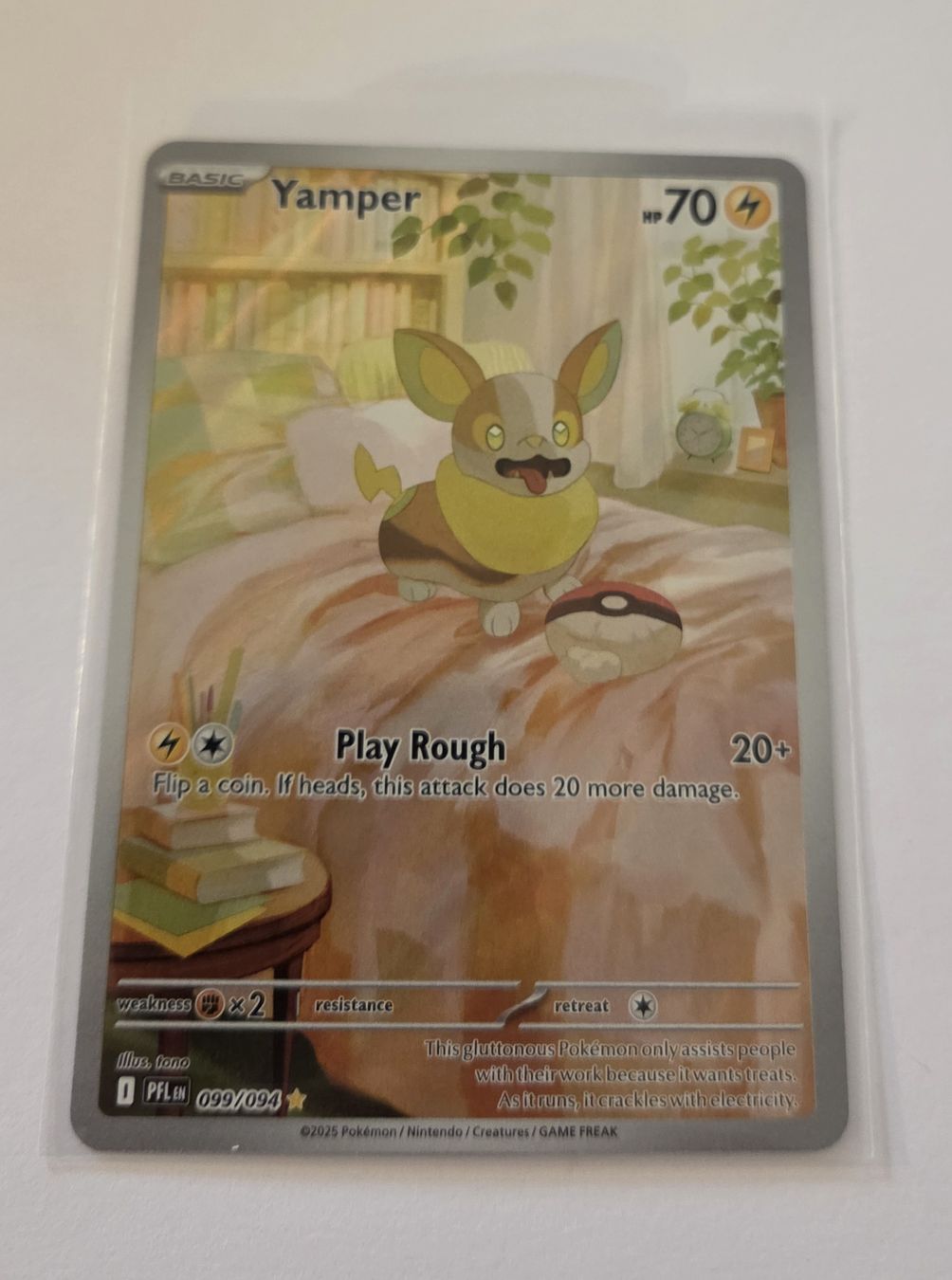Pokémon Carte collezionabili: Pokemon Yamper Fullart EN PFL – Nuovo (secondo la descrizione) da Triesen venduto da SxTY