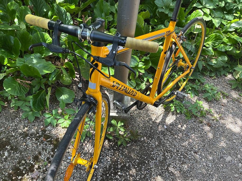Specialized Vélos: Langster Specialized Single-Speed – D'occasion à Zürich par zueribieterin 1