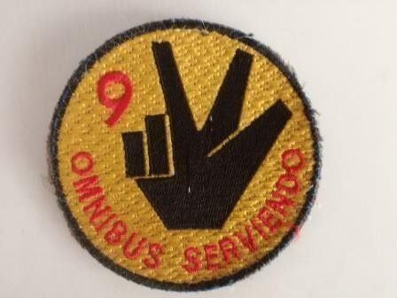 Placchette & Badge: Badge Territorialdivision 9 – Usato da Sursee venduto da Ursus_LU
