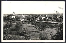 Grüningen, Ortspanorama mit Wiese und B