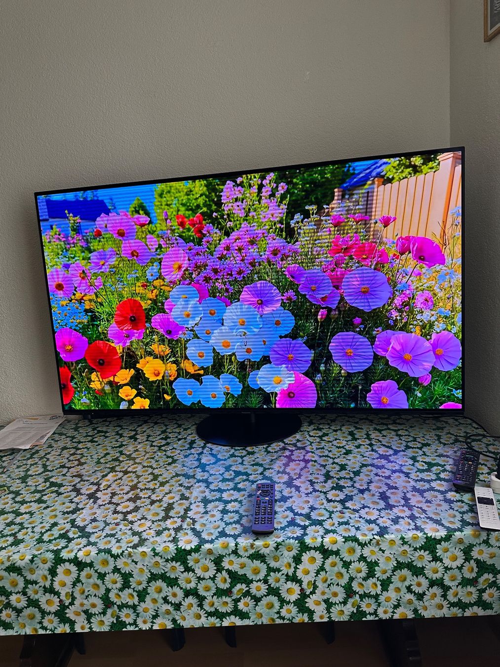 Panasonic Televisori: Panasonik  65 zoll Oled. – Usato da Kilchberg ZH venduto da dion06 1