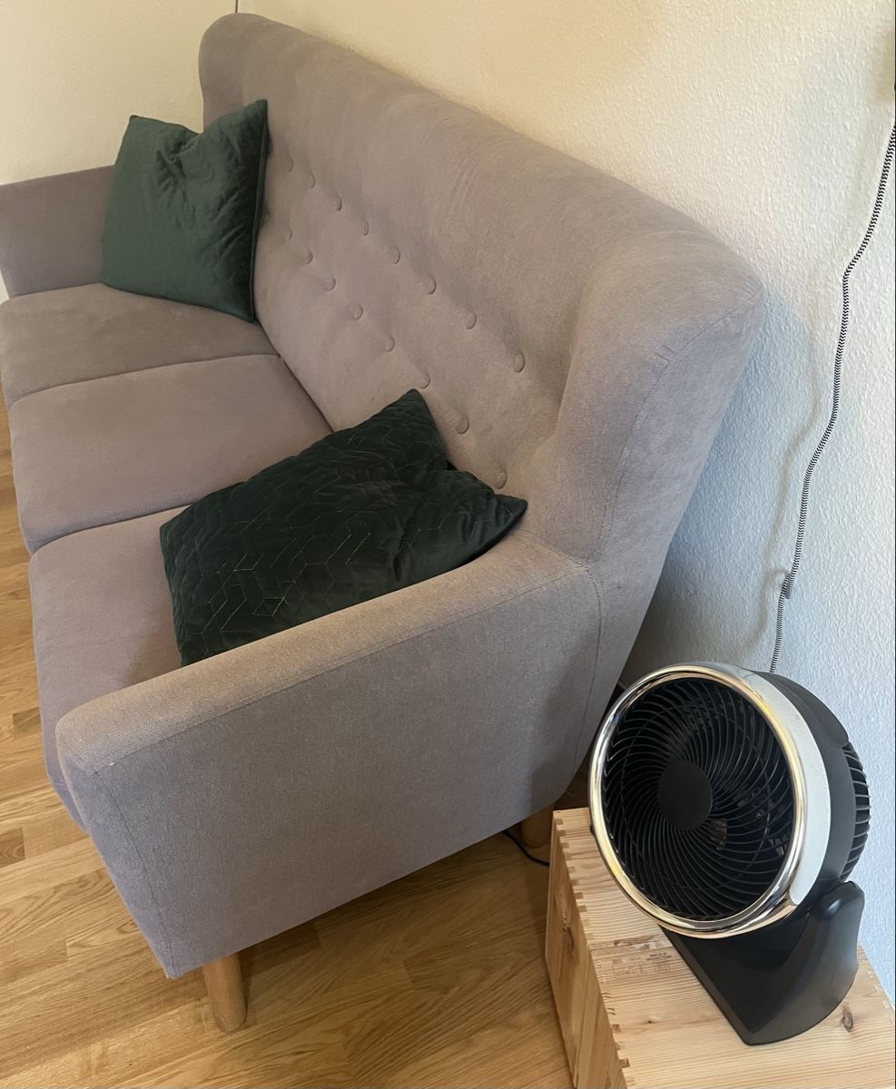 Divani: Sofa grau – Usato da Weinfelden venduto da Kathydoes 5