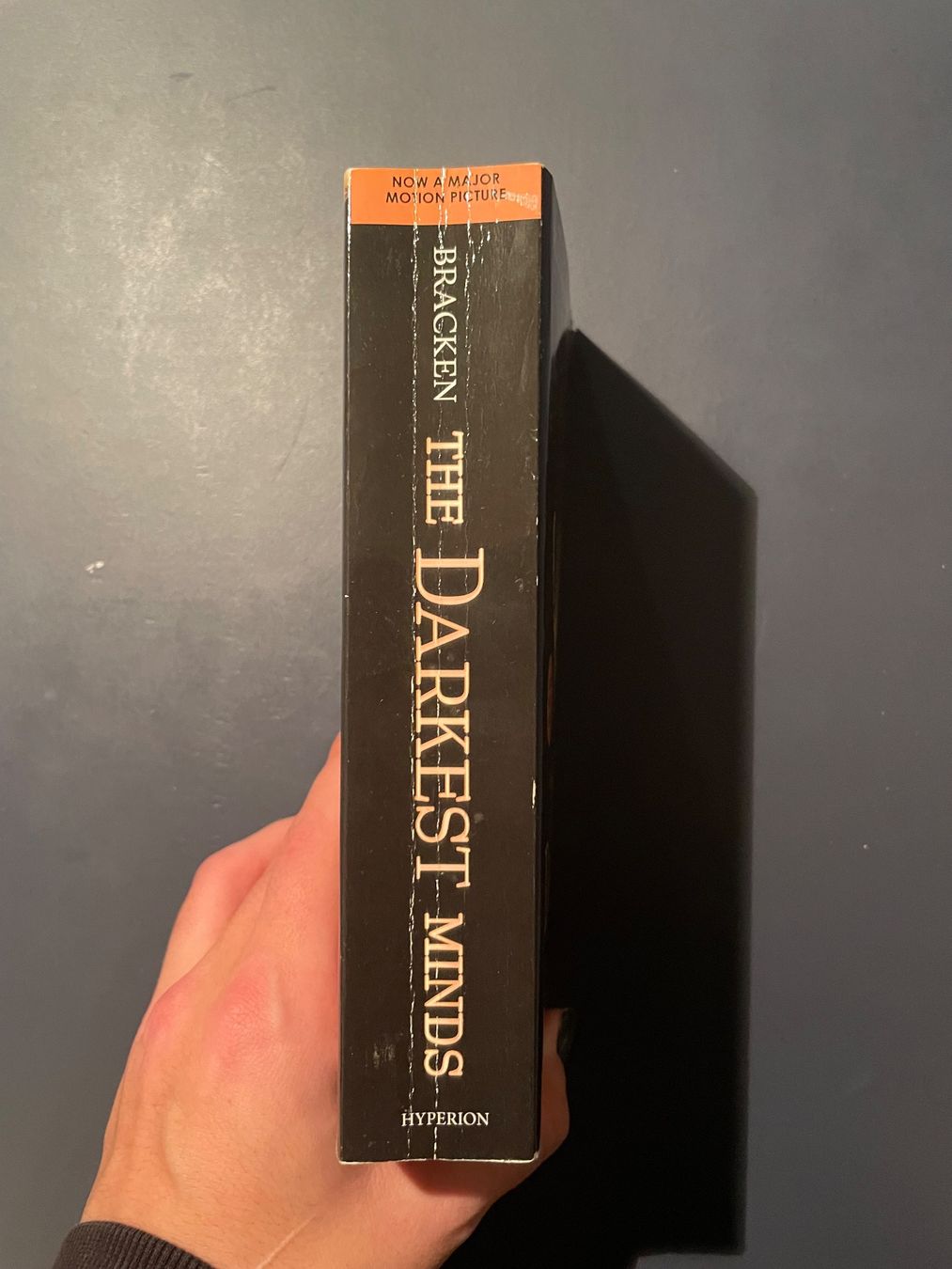 Libri: The Darkest Minds - Alexandra Bracken – Usato da Bern venduto da aij_cs5m 3
