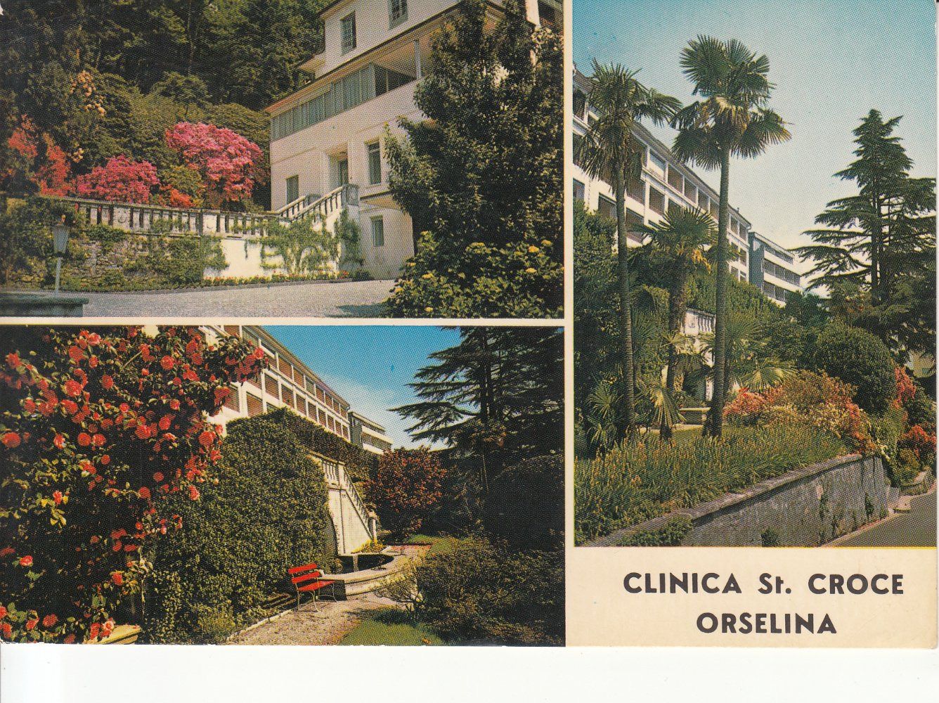 Cartoline postali: Orselina 1981 – Usato da Bürglen TG venduto da StampGraf