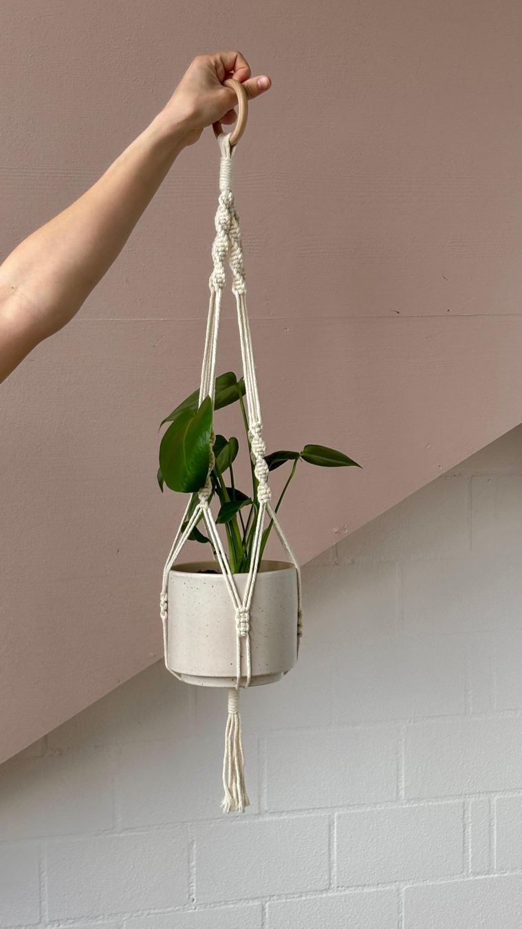 Tutte le decorazioni: Makramee Pflanzenhänger Blumenampel – Nuovo e nell'imballaggio originale da St. Gallen venduto da vi_fi 5