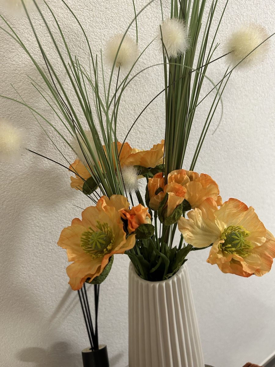 Toutes les décorations: Deko – Neuf (Voir description) à Perroy par MR6. 1