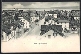 Romanshorn, Strassenpartie aus der Vogel