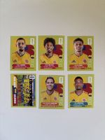 Panini: COL 6,COL 7,COL 12,COL 13,COL 15,COL 18