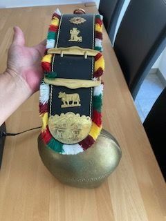 Campanacci mucche: Glocke – Usato da Hochfelden venduto da sim_l7wp 1