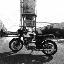 Profile image of Rooster1976
