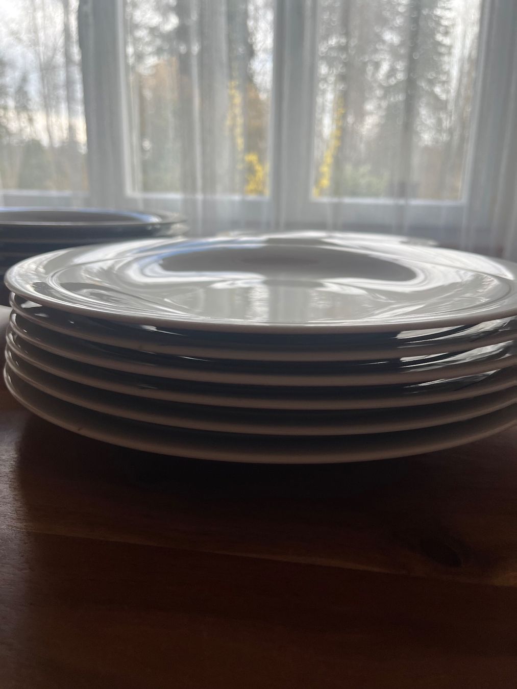 Seltmann Assiettes: Teller set – D'occasion à Wiler b.Utzenstorf par Homer.J.Simpson 3
