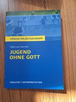 Königs Erläuterung - Jugend ohne Gott