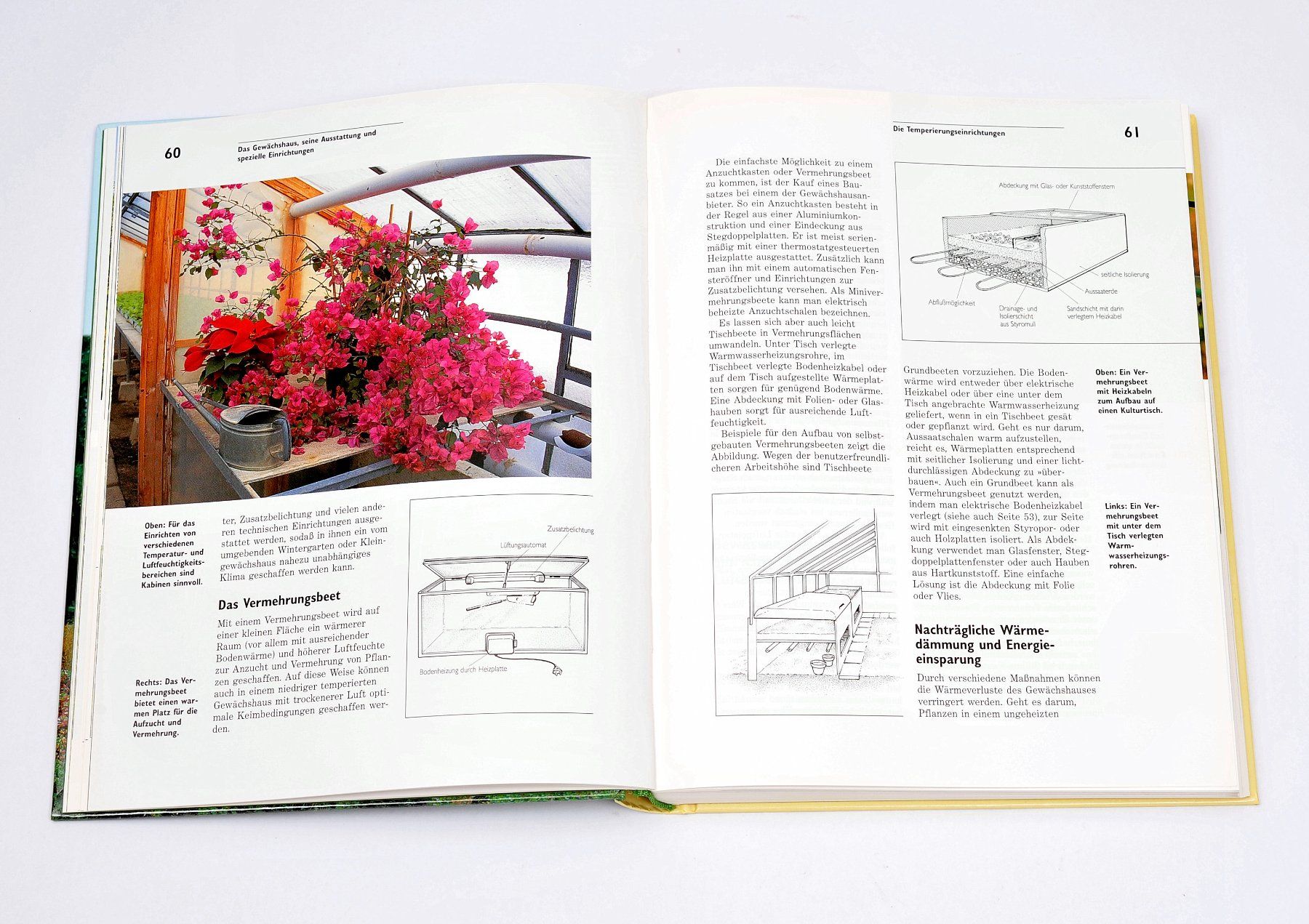 Libri: Das Kleingewächshaus Technik und Nutzung Garten Gewächshaus – Usato da Gränichen venduto da Zuckerhut45 3
