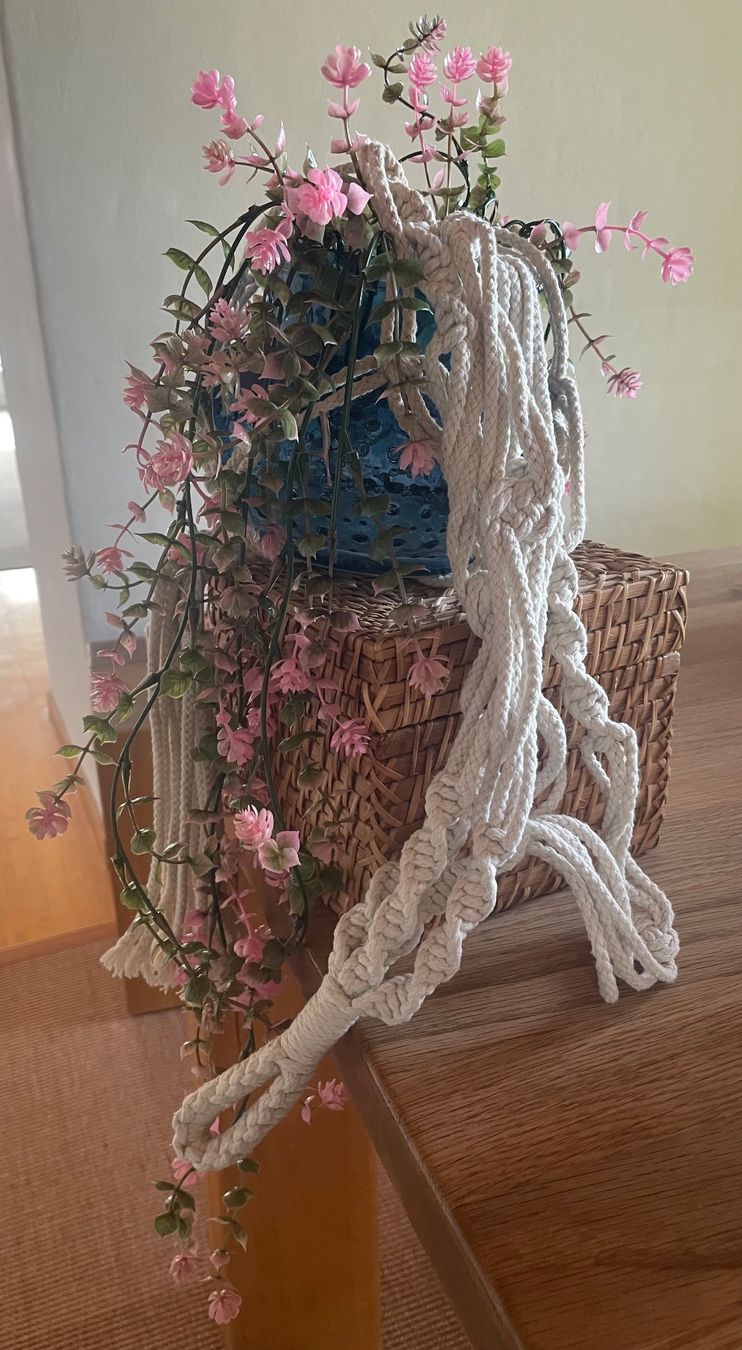 Piante & sementi: Kunstpflanze hängend – Usato da Freidorf TG venduto da ibipatria 1