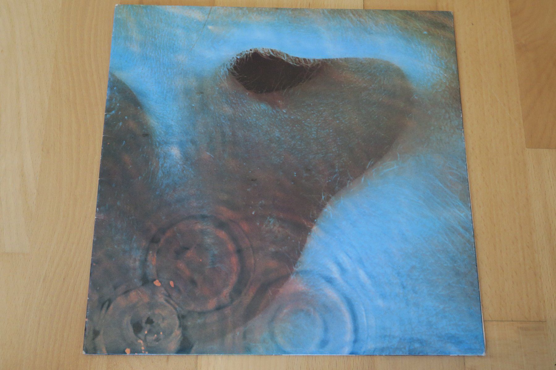 Dischi in vinile: Pink Floyd – Meddle – Usato da Thun venduto da Karibu70