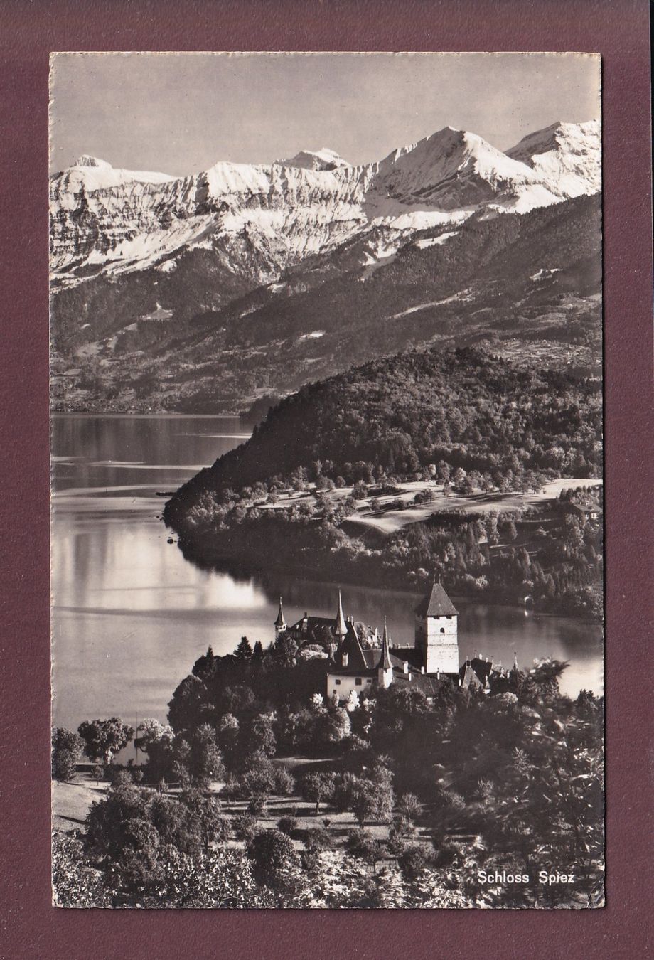 Cartes postales: SCHLOSS SPIEZ – D'occasion à Pully par nicecards