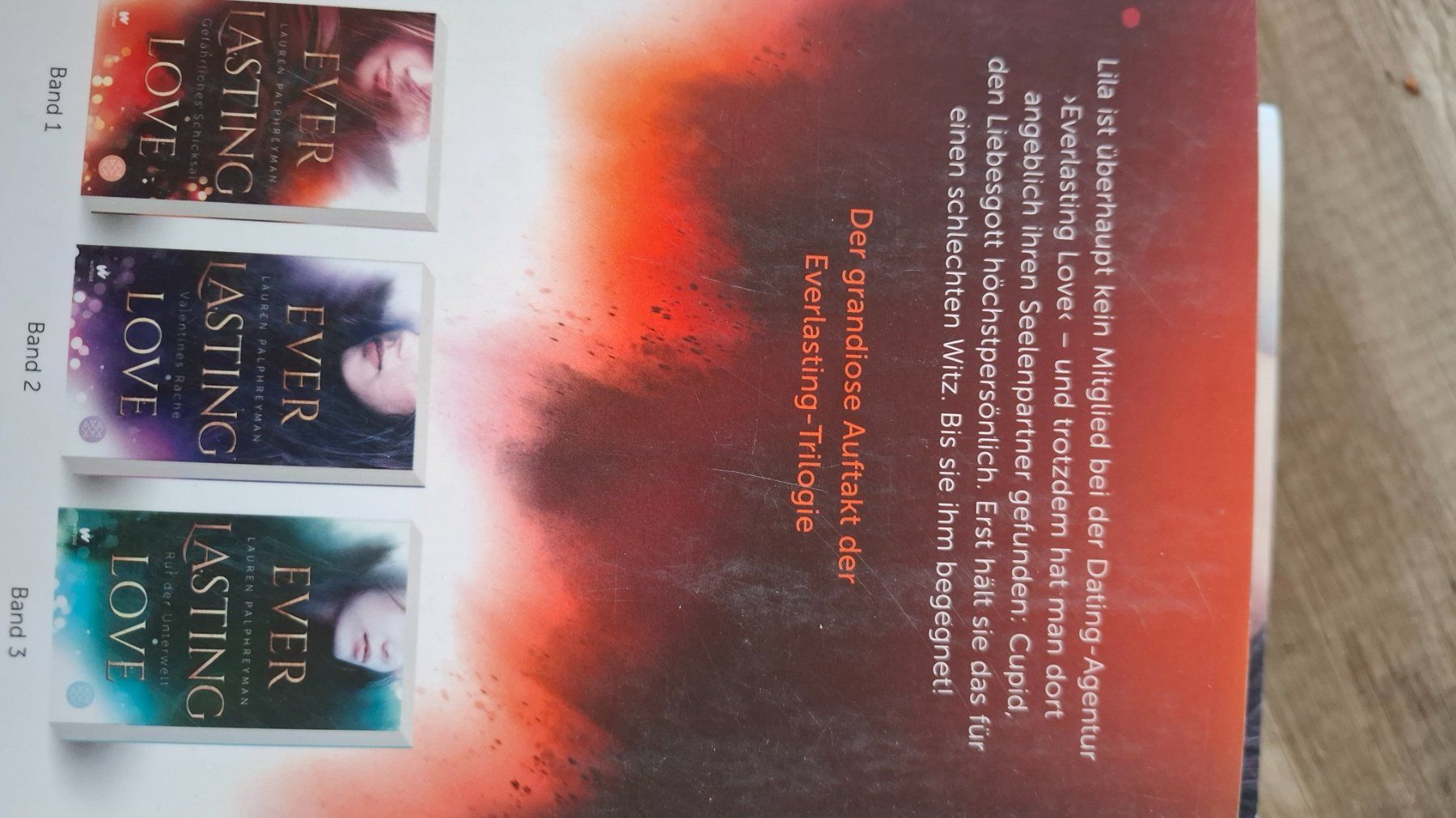 Libri: Everlasing Love – Usato da Koppigen venduto da bau_w8vs 1