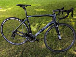 Wilier GTR TEAM CARBON – Shimano 105 Schaltung