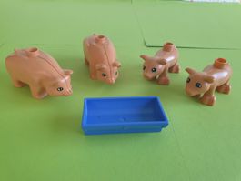 Duplo (Y11) Schweinchenfamilie