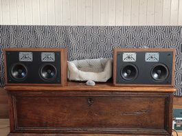 Polk Audio