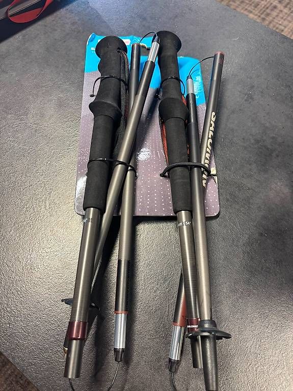 Poster & Bilder: Salomon Quest Carbon Foldable Pole – Gebraucht aus Grindelwald von Backdoor_Shop