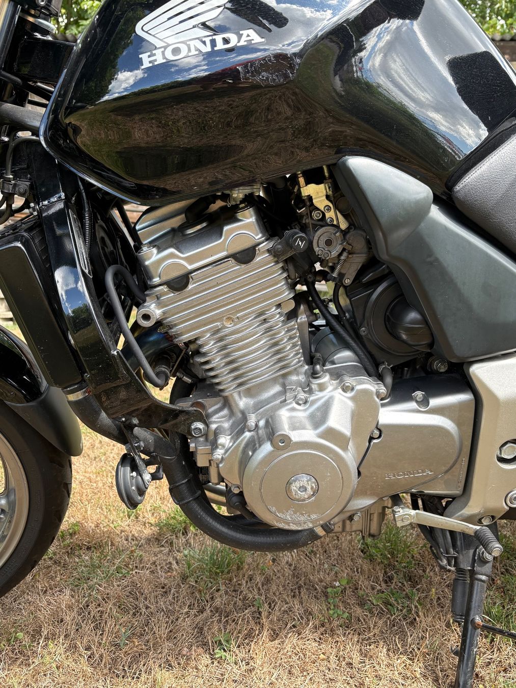 Honda Strasse: Honda CBF500A schwarz – Gebraucht aus Neukirch (Egnach) von liiaahh 5