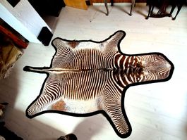 Veritable peau de zebre de Grevy 2/ Echtes Grevy Zebrafell 2