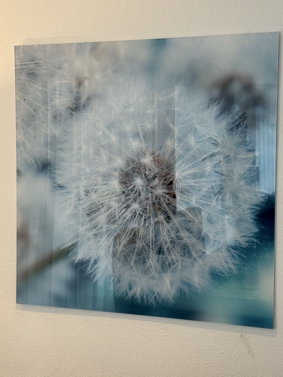 Foto & Immagini: Acrylglasbild 100x100cm – Usato da Buchs ZH venduto da claudiac76