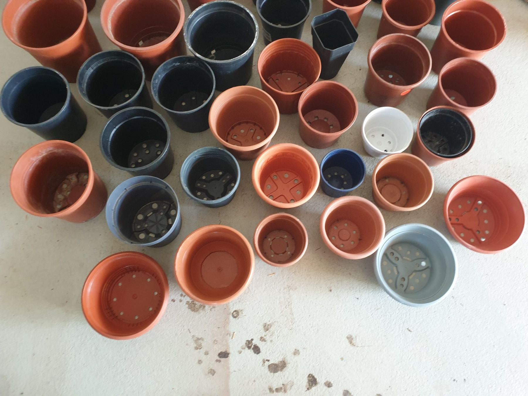 Blumentöpfe: Lot Plastiktöpfe – Gebraucht aus Tuggen von Mviola2 1