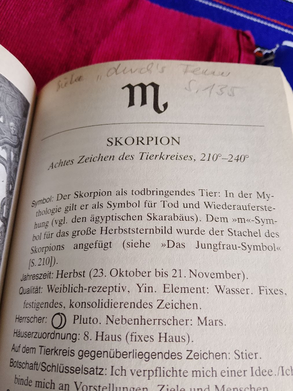 Libri: Die 12 Archetypen  – Usato da Volken venduto da katz5 3